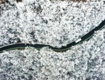 ���ɽ�F������