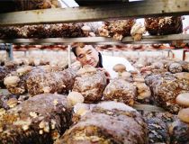 ���患��S�����㹽���ȡ���������