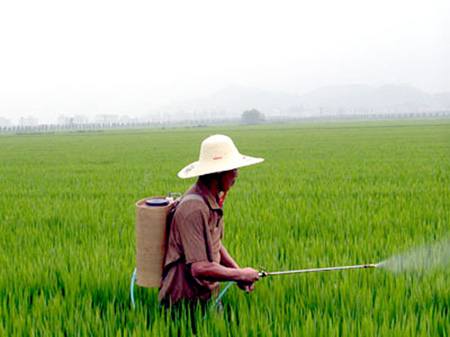 �ƌW��ܜp�p�ɺ��ĺ��pʧ �������ѣ�������˸ķN�a�N