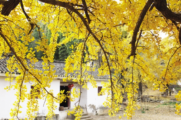 �����^(q��)���(y��ng)�(zh��n)ǧ���y�ӹ�