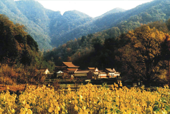 �S�ݴ��ɽ��(gu��)�Ҽ�(j��)�L(f��ng)�����م^(q��)