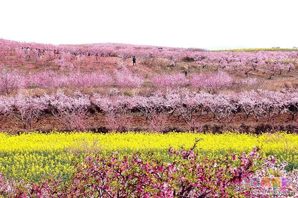 ���С����һ�ʢ�_(k��i)�ĵط�