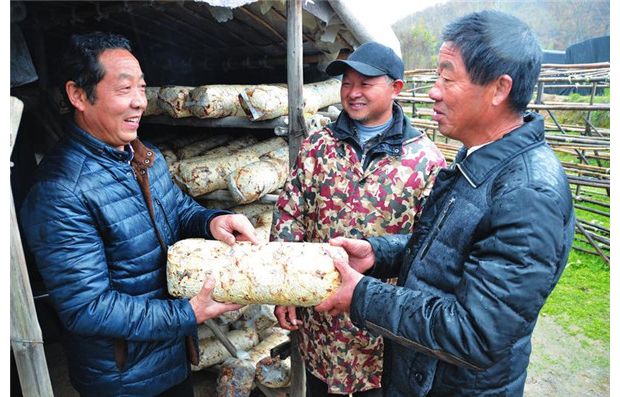 ָ���㹽���a(ch��n)