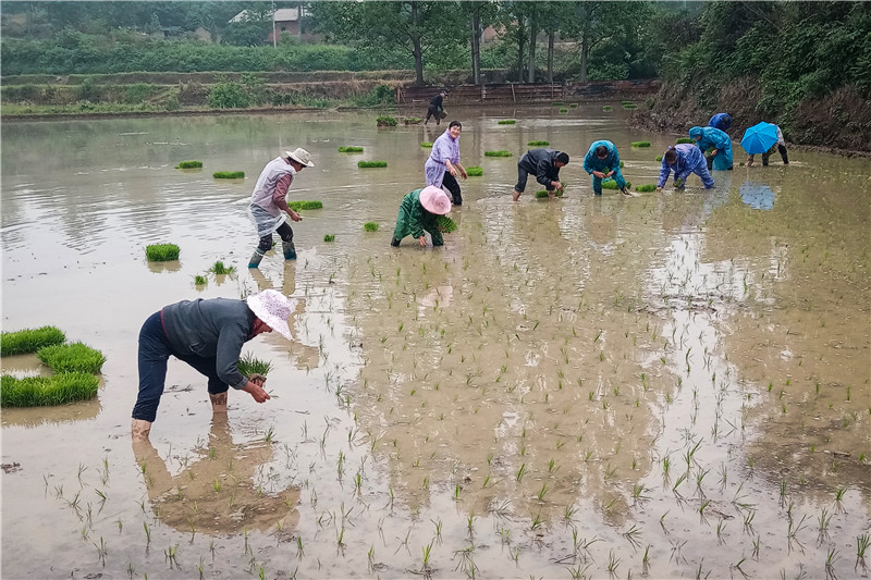 �S�ݸ��^(q��)�����(zh��n)�_չ�Ĳ����a(ch��n)