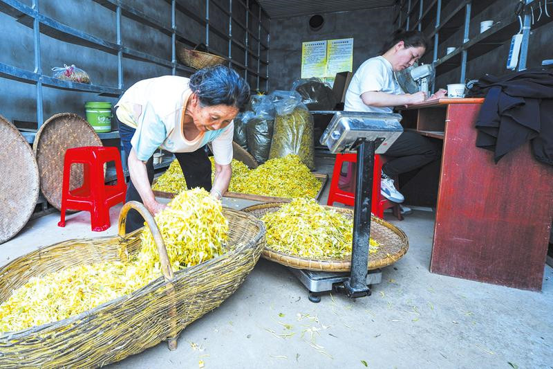 �ؘ�(sh��)������y���Nֲ����