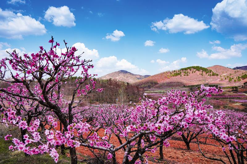 �ƿh�(zh��n)�A��ɽ�塪�� ������(j��ng)��(j��)�����I(l��ng)�l(xi��ng)�������L(f��ng)��