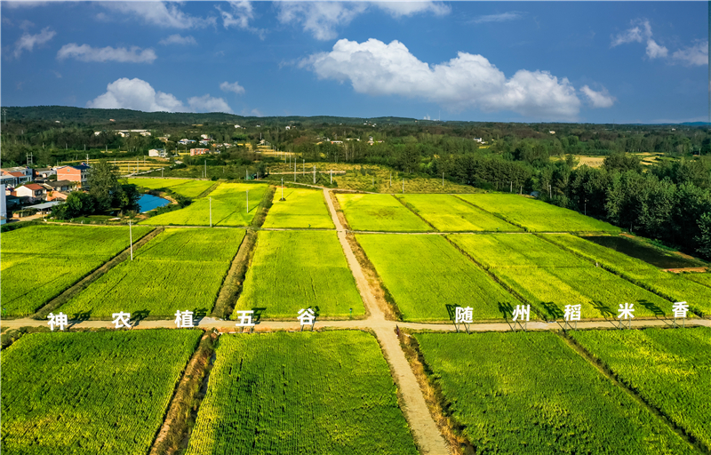 �������S���S�ռ�������ɾ� �S���箋