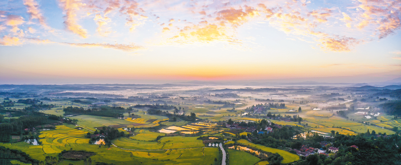 Ԋ����@ ��;��������������l��zӰ��ِ��������Ʒ�x��