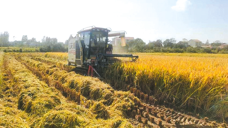 �Vˮ���������ո�C�ڽ�ɫ�������������I