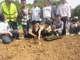 �������I�̭h�������Ӷ�С�⻯У�^�_չ̫�շN������ֲ���`���